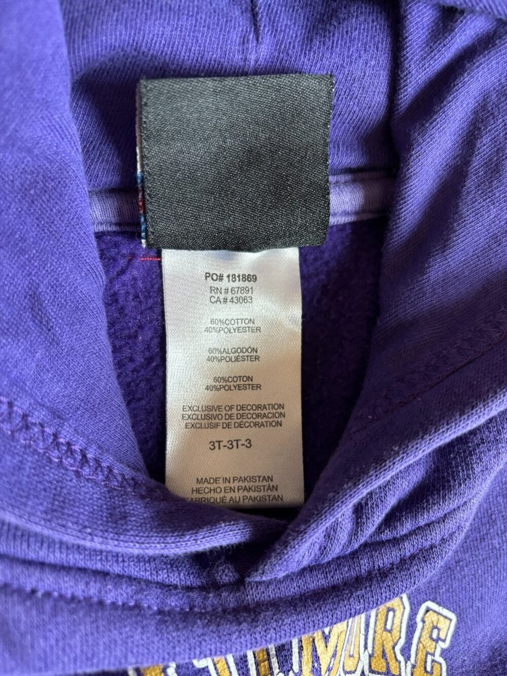 NFL TEAM APPAREL Baltimore Ravens Kids Purple Hoodie Sweatshirt Size 3T - Picture 7 of 7